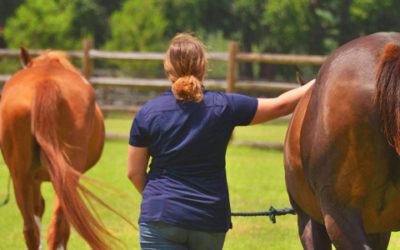 Community Spotlight | Vintage Farm
