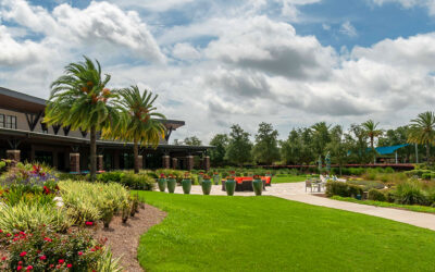 Ocala Preserve | A Look at Recent Neighborhood Changes