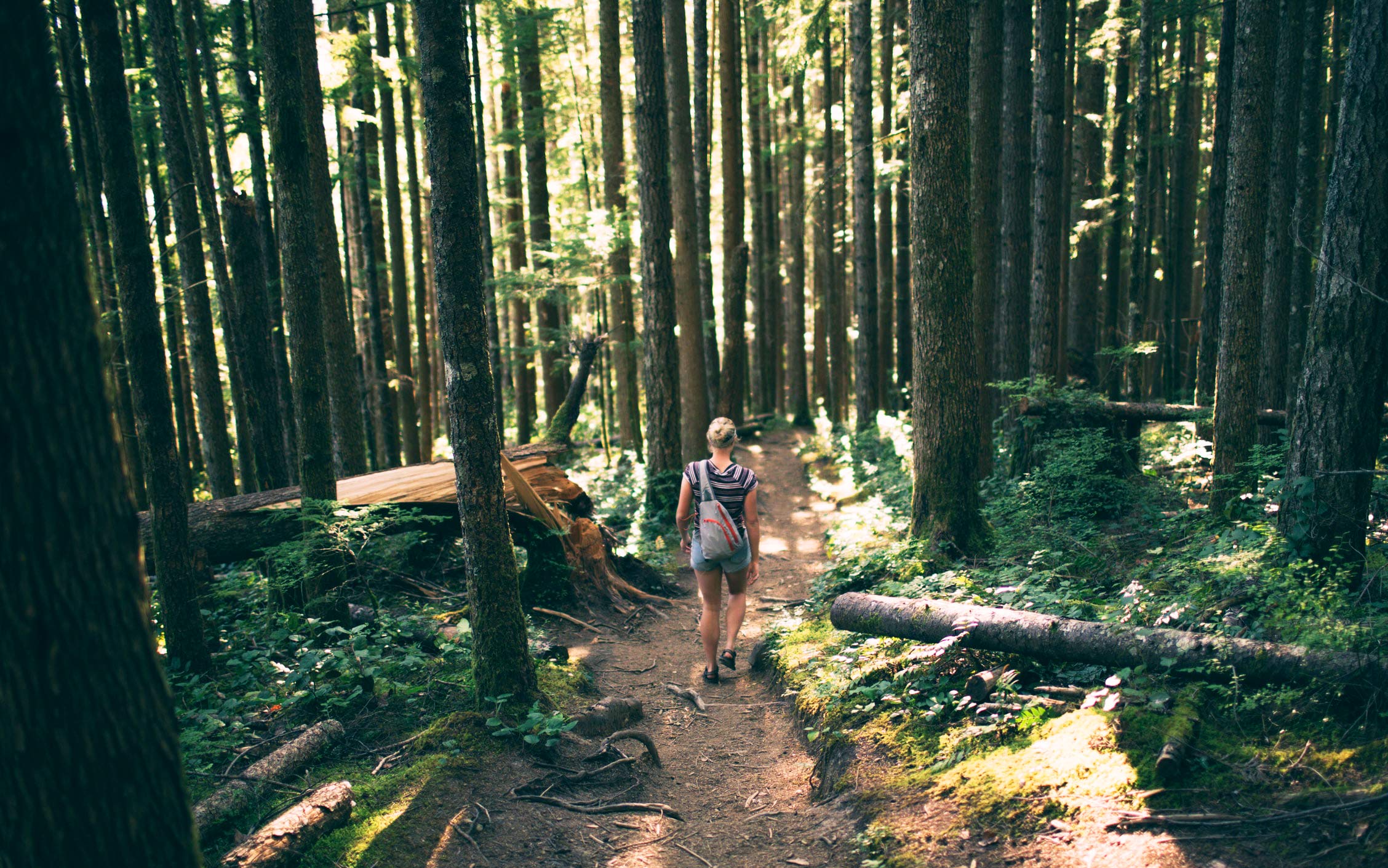 Click for Parks and Forests