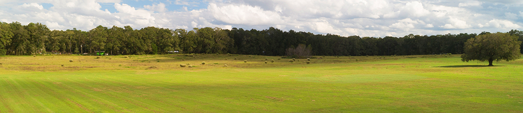 Farms Over $500,000 Click here to view Farms Over $500,000 listings.