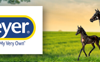Breyer Horses – Forever in Our Hearts: Part 1