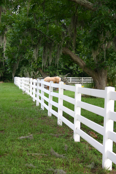 fencing 019_web