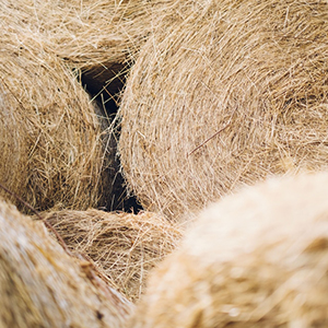 joachim-lesne-9G-PGEmbHP0-unsplash Stacks of round bales of hay.