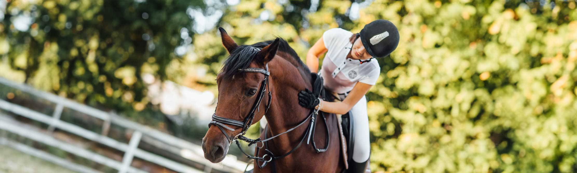 A female equestrian petting her horse.