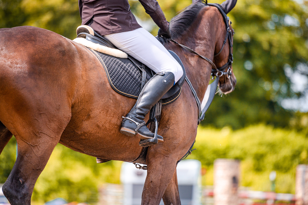 An equestrian sitting upon a horse