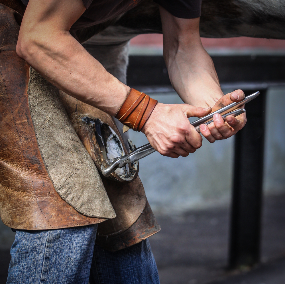 farrier taking off old horseshoe from horse hoof