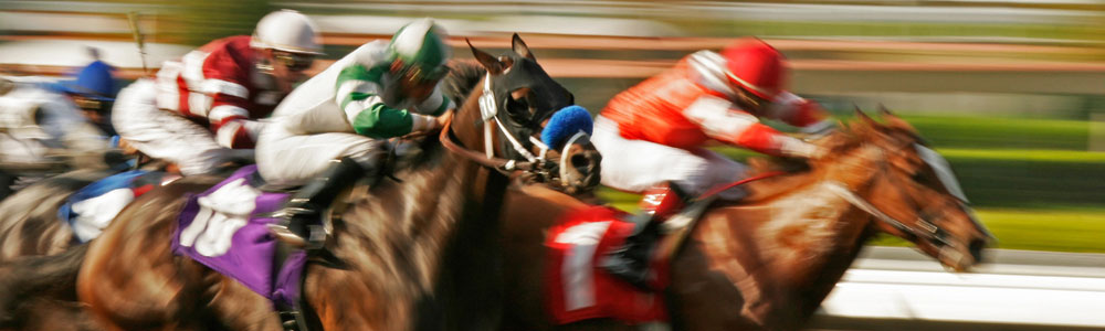 2024 Kentucky Derby Resources