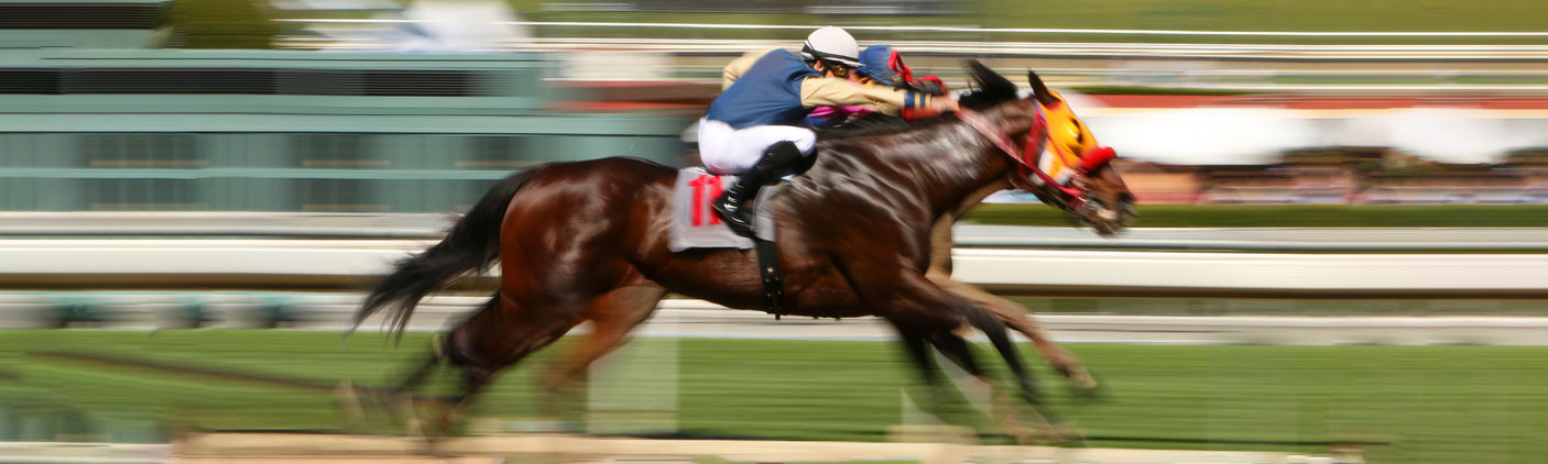Derby horses in the final stretch, the crowd in a blur behind them.