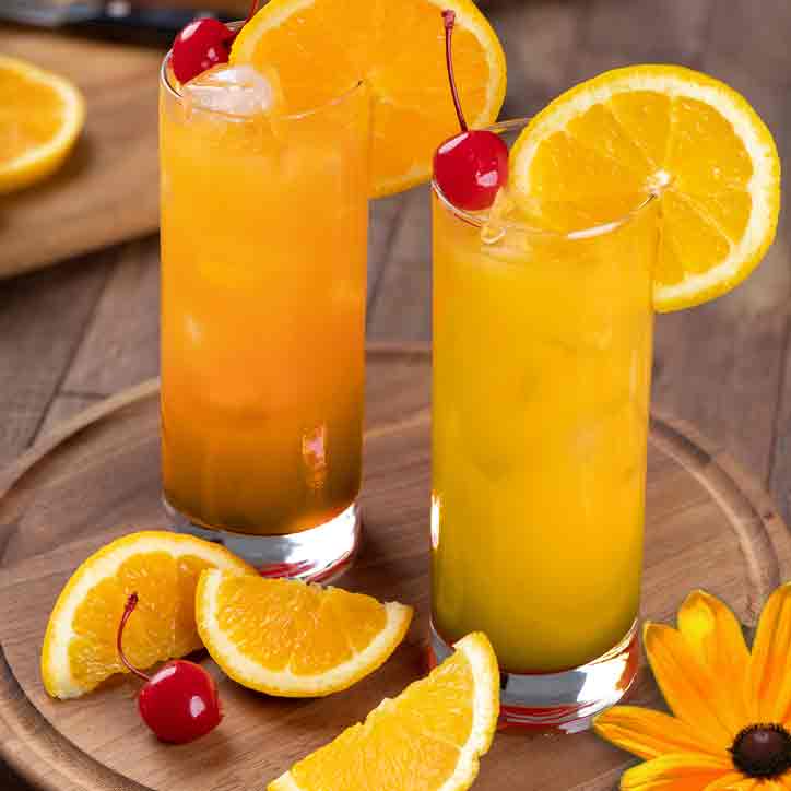 A Black-eyed Susan cocktail, the official drink of the Preakness
