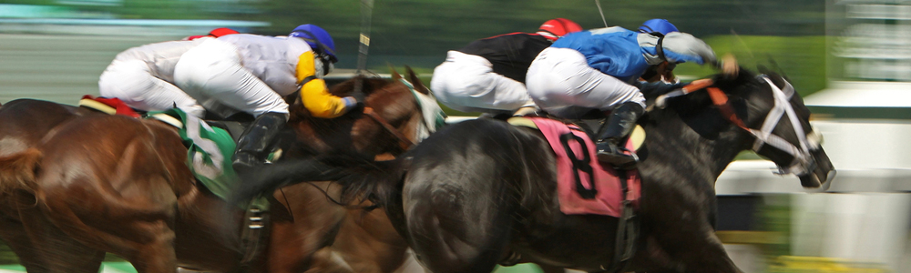 2024 Preakness Horses with Ocala Connections