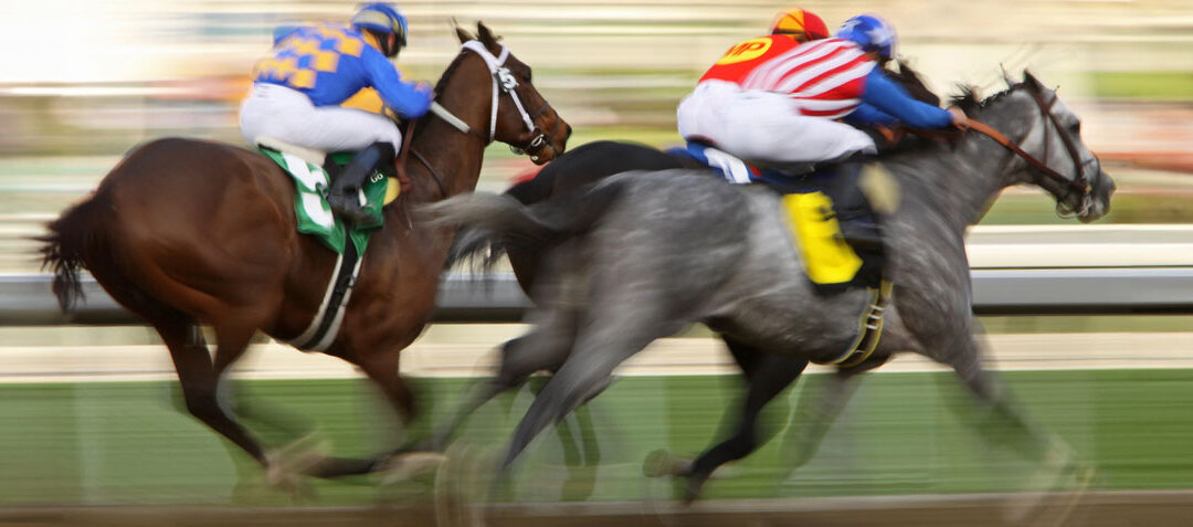 2024 Belmont Stakes Horses with Ocala Connections