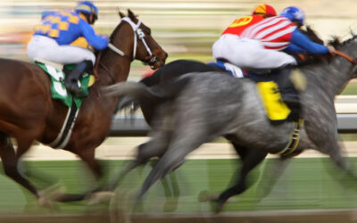 2024 Belmont Stakes Horses with Ocala Connections