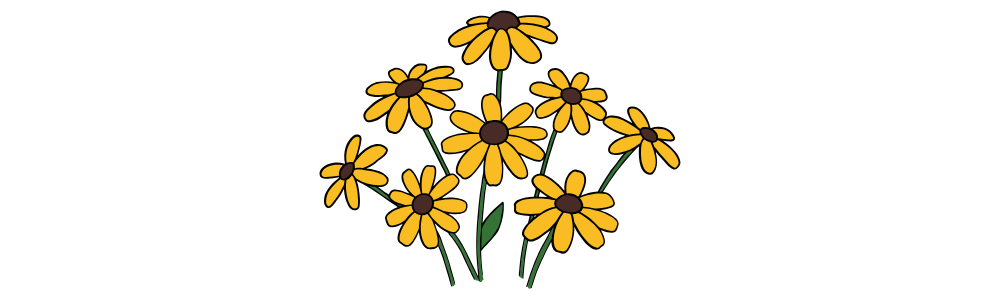 Illustration of black-eyed susan flowers
