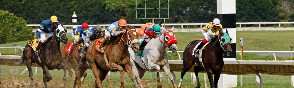 Preakness 2025 | Local Contenders
