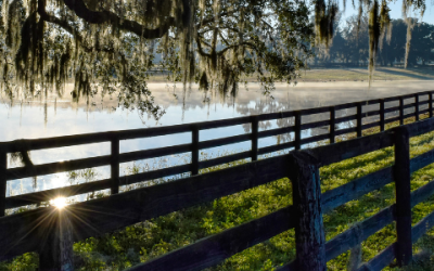 Market Pulse: Marion County & Surrounding Areas – May 2025 Snapshot