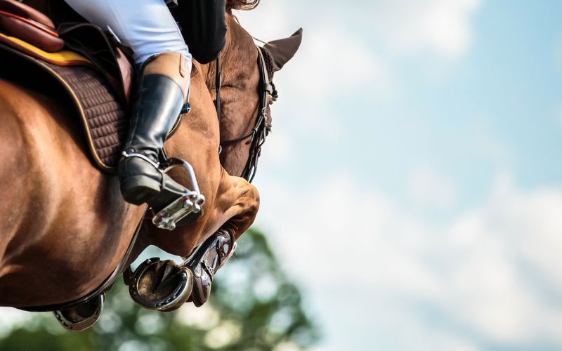a horse jumping