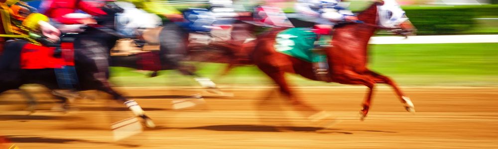 Kentucky Derby 2026 Marion County Connections